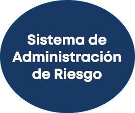 Sistema de Administraci n de Riesgo