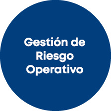 Gesti n de Riesgo Operativo