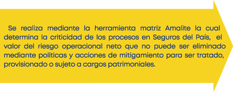  Se realiza mediante la herramienta matriz Amalite la cual determina la criticidad de los procesos en Seguros del Pa    