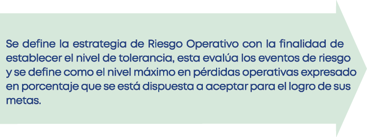  Se define la estrategia de Riesgo Operativo con la finalidad de establecer el nivel de tolerancia, esta eval a los e   