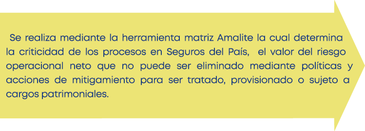 Se realiza mediante la herramienta matriz Amalite la cual determina la criticidad de los procesos en Seguros del Paí   