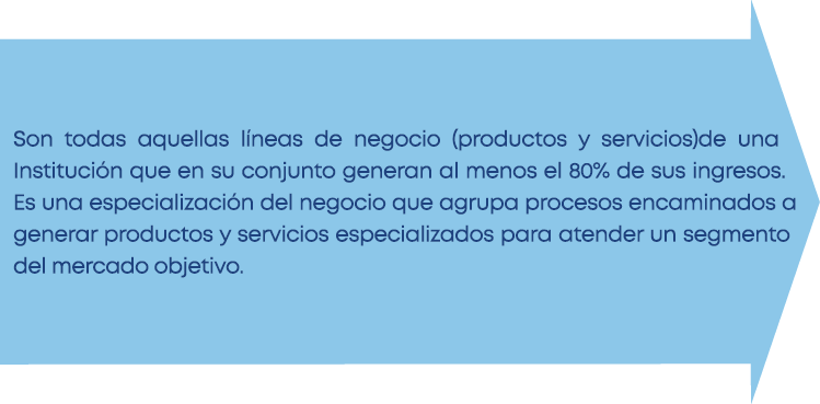 Son todas aquellas líneas de negocio (productos y servicios)de una Institución que en su conjunto generan al menos el   