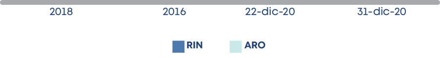 ARO,RIN,31-dic-20,22-dic-20,2018,201