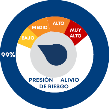 MUY ALTO,ALTO,MEDIO,BAJO,,     PRESIÓN ALIVIO DE RIESGO,99