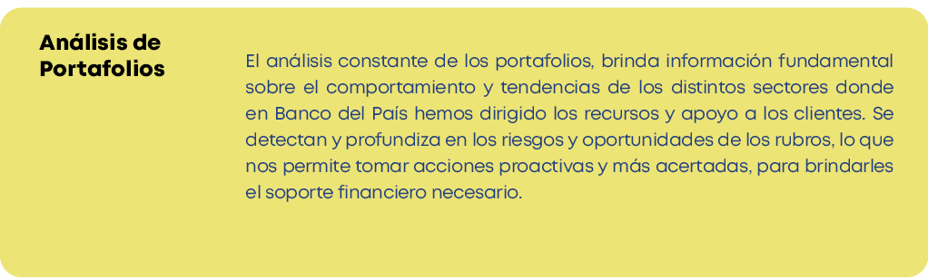 El análisis constante de los portafolios, brinda información fundamental sobre el comportamiento y tendencias de los    