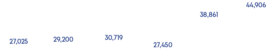 44,906,38,861,27,450,30,719,29,200,27,02