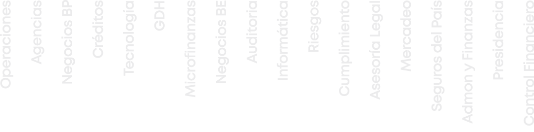 Operaciones Agencias Negocios BP Cr ditos Tecnolog a GDH Microfinanzas Negocios BE Auditoria Inform tica Riesgos Cump...