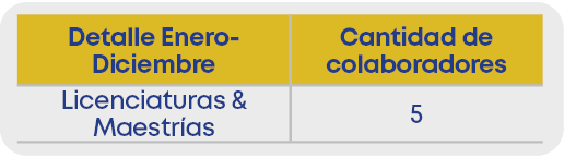 Detalle Enero Diciembre,Cantidad de colaboradores,Licenciaturas & Maestr as ,5