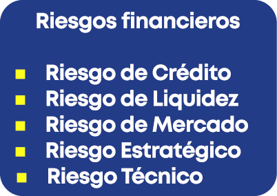 Riesgos financieros n Riesgo de Cr dito n Riesgo de Liquidez n Riesgo de Mercado n Riesgo Estrat gico n Riesgo T cnico