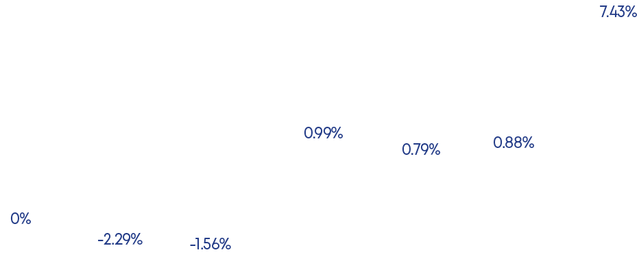 7.43%,0.88%,0.79%,0.99%, 1.56%, 2.29%,0