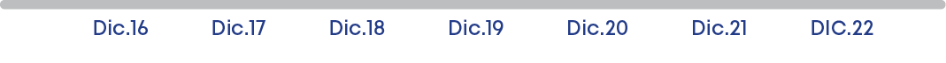 Dic.16 Dic.17 Dic.18 Dic.19 Dic.20 Dic.21 DIC.2