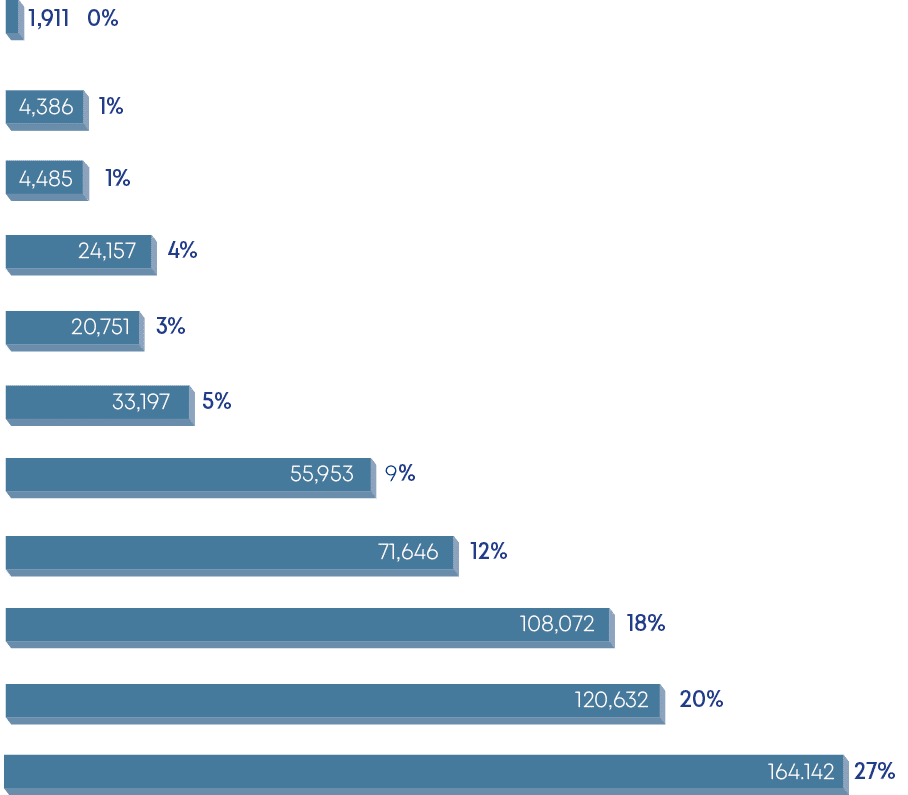 164.142 27%,120,632 20%,108,072 18%,71,646 12%,55,953 9%,33,197 5%,20,751 3%,24,157 4%,4,485 1%,4,386 1%,1,911 0
