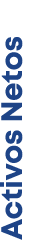 Activos Netos