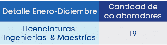 Detalle Enero Diciembre,Licenciaturas, Ingenier as & Maestr as ,Cantidad de colaboradores ,1