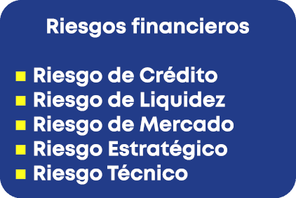 Riesgos financieros n Riesgo de Cr dito n Riesgo de Liquidez n Riesgo de Mercado n Riesgo Estrat gico n Riesgo T cnico