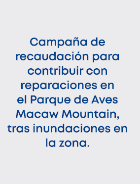 Campa a de recaudaci n para contribuir con reparaciones en el Parque de Aves Macaw Mountain, tras inundaciones en la ...