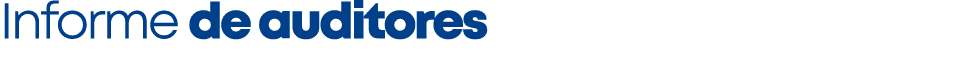 Informe de auditores