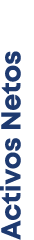 Activos Netos