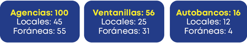 Autobancos: 16 Locales: 12 For neas: 4,Ventanillas: 56 Locales: 25 For neas: 31,Agencias: 100 Locales: 45 For neas: 5