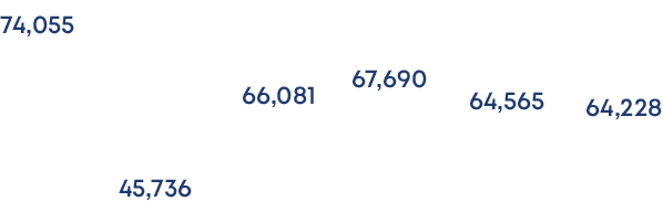 64,228,64,565,67,690,66,081,45,736,74,05