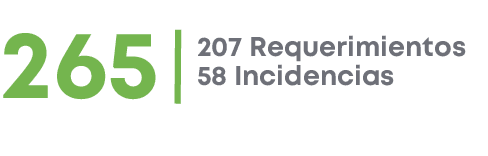 207 Requerimientos 58 Incidencias,26
