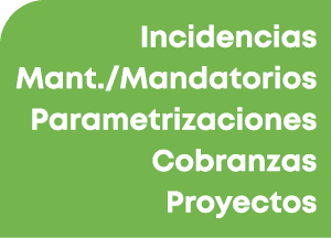 Incidencias Mant./Mandatorios Parametrizaciones Cobranzas Proyectos