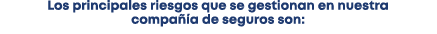 Los principales riesgos que se gestionan en nuestra compa a de seguros son: 