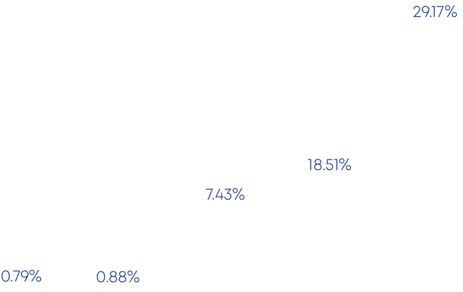 7.43%,0.88%,0.79%,29.17%,18.51