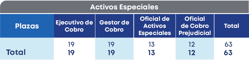 Activos Especiales ,Total,Plazas, Total,Oficial de Cobro Prejudicial,Gestor de Cobro,Oficial de Activos Especiales ,E...