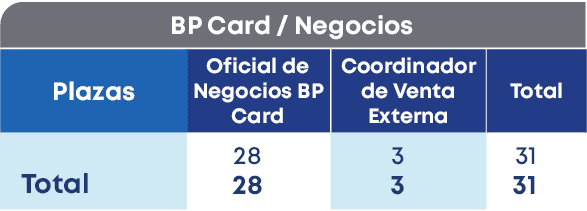 BP Card / Negocios ,Total,Plazas, Total,Coordinador de Venta Externa ,Oficial de Negocios BP Card,28 28,31 31,3 