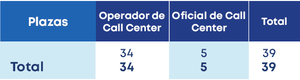 Total,Plazas, Total,Oficial de Call Center,Operador de Call Center ,34 34,39 39,5 