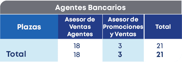 Agentes Bancarios ,Total,Plazas, Total,Asesor de Promociones y Ventas ,Asesor de Ventas Agentes ,18 18,21 21,3 