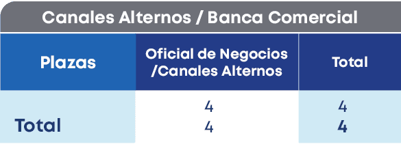 Canales Alternos / Banca Comercial,Plazas, Total,Total,Oficial de Negocios /Canales Alternos ,4 4,4 