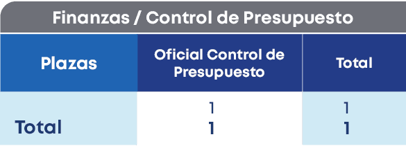 Finanzas / Control de Presupuesto,Plazas, Total,Total,Oficial Control de Presupuesto ,1 1,1 