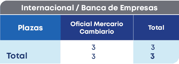 Internacional / Banca de Empresas,Plazas, Total,Total,Oficial Mercario Cambiario,3 3,3 