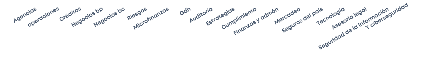  Agencias operaciones Cr ditos Negocios bp Negocios bc Riesgos Microfinanzas Gdh Auditor a Estrategias Cumplimiento F...