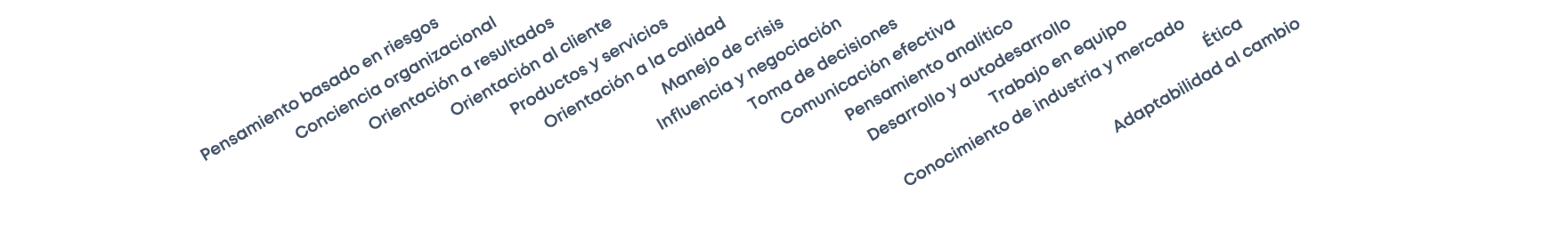  Pensamiento basado en riesgos Conciencia organizacional Orientaci n a resultados Orientaci n al cliente Productos y ...