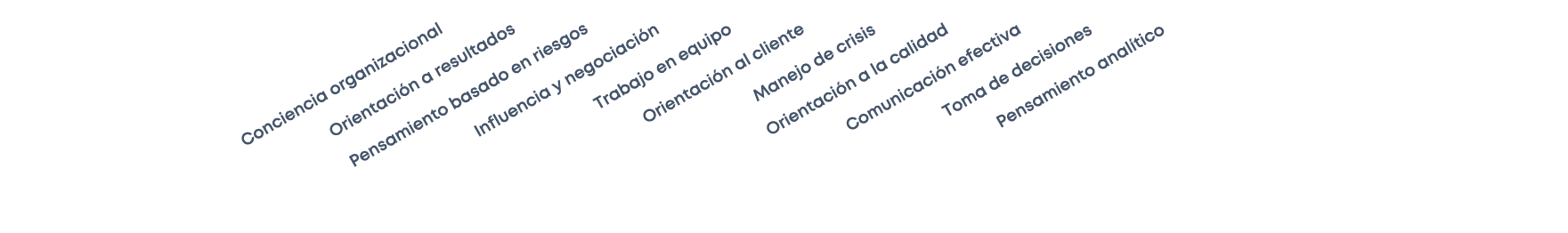  Conciencia organizacional Orientaci n a resultados Pensamiento basado en riesgos Influencia y negociaci n Trabajo en...