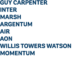 GUY CARPENTER INTER MARSH ARGENTUM AIR AON WILLIS TOWERS WATSON MOMENTUM 