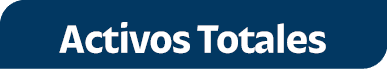 Activos Totales