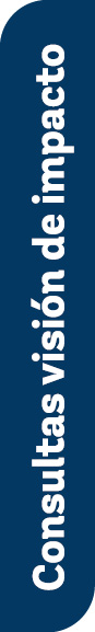 Consultas visi n de impacto