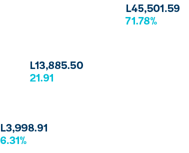L45,501.59 71.78%,L13,885.50 21.91 ,L3,998.91 6.31