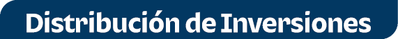 Distribuci n de Inversiones