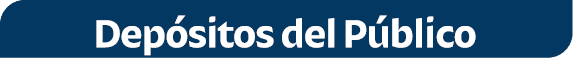 Dep sitos del P blico 