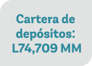 Cartera de dep sitos: L74,709 MM