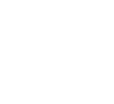 Lempiras 57,529.6 77%