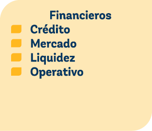 Financieros 1 Cr dito 1 Mercado 1 Liquidez 1 Operativo 