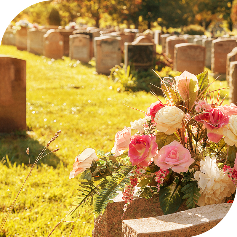 Image-memorial-plus2
