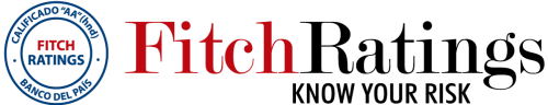 FITCH-RATINGS FITCH-RATINGS